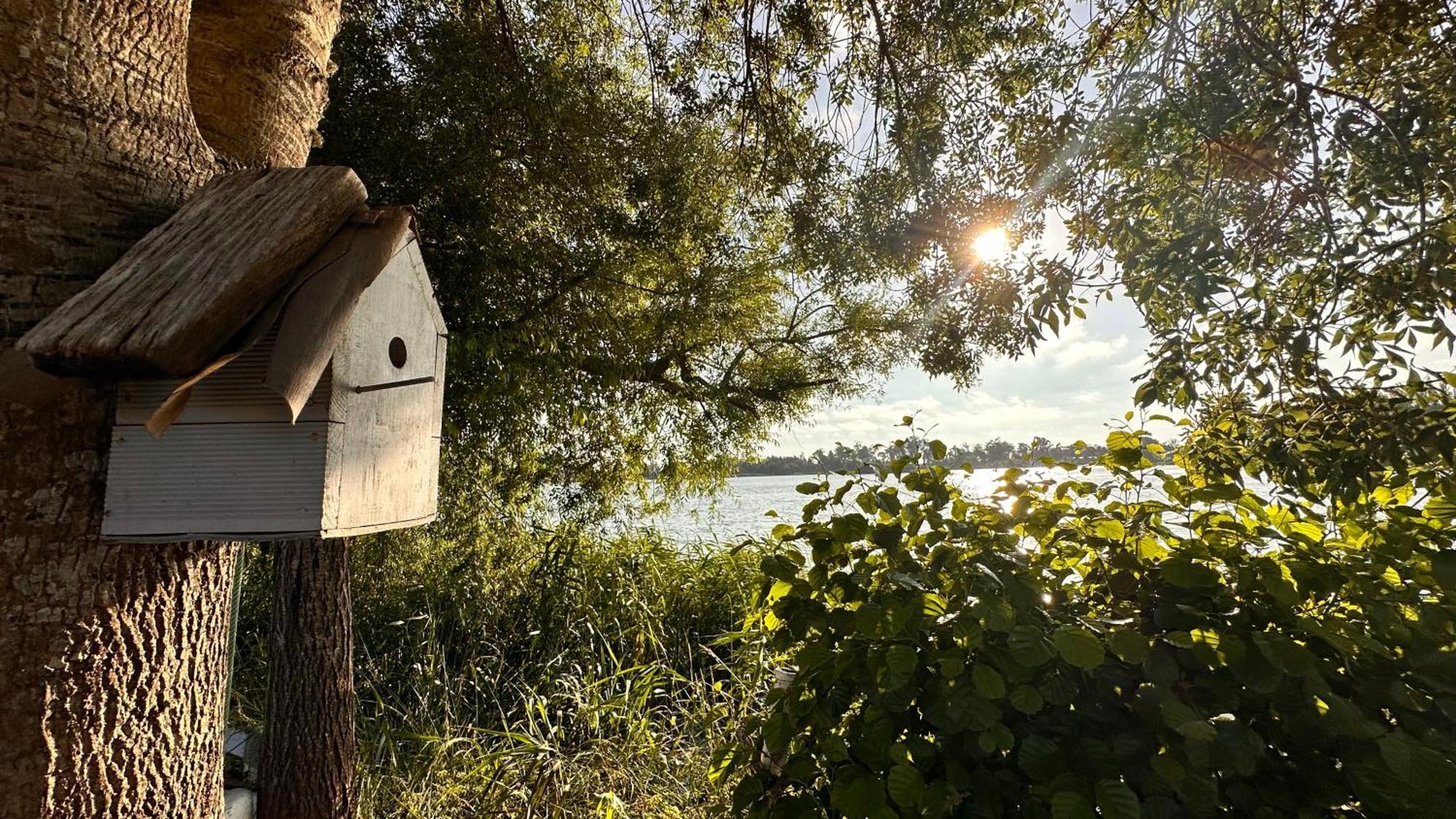 Casa Do Areal, Refugio Das Rotas Pedestres Em Mira Mira  Extérieur photo